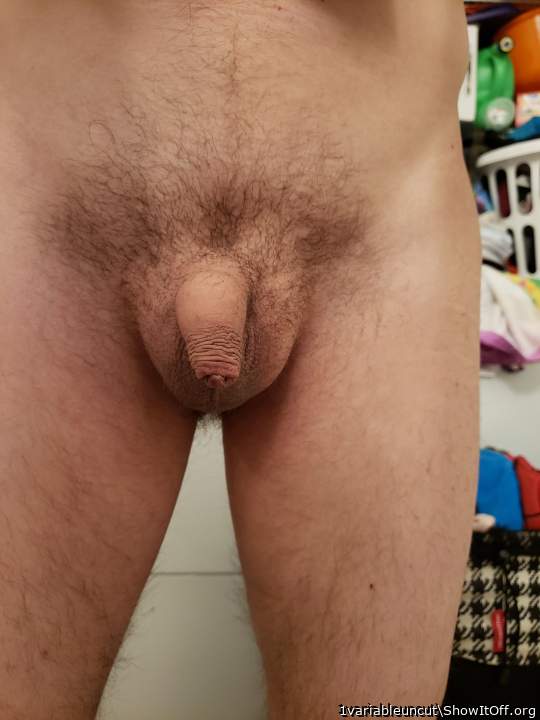 Photo of a sausage from 1variableuncut