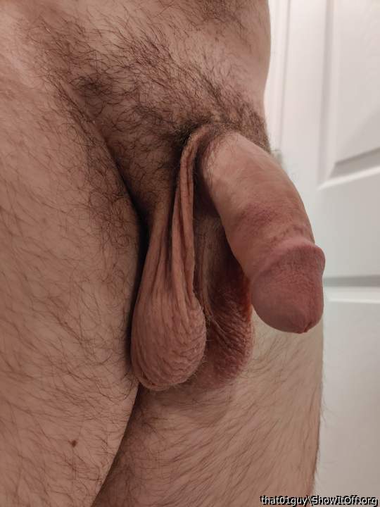 Very attractive cock and great balls