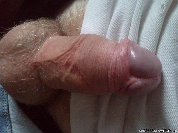 Photo of a love muscle from Cock227