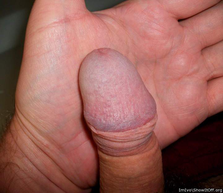 Flaccid penis with nude glans (closeup)