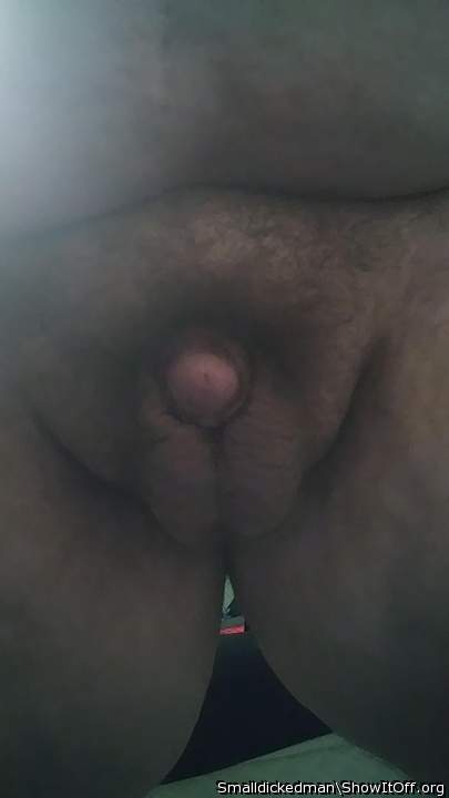 Photo of a penis from Smalldickedman
