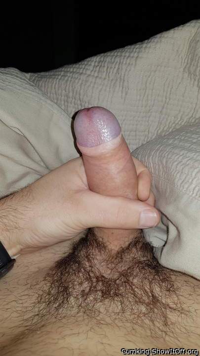 Photo of a weasel from Cumking