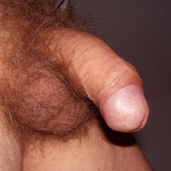 oh that foreskin and hairy balls... yum