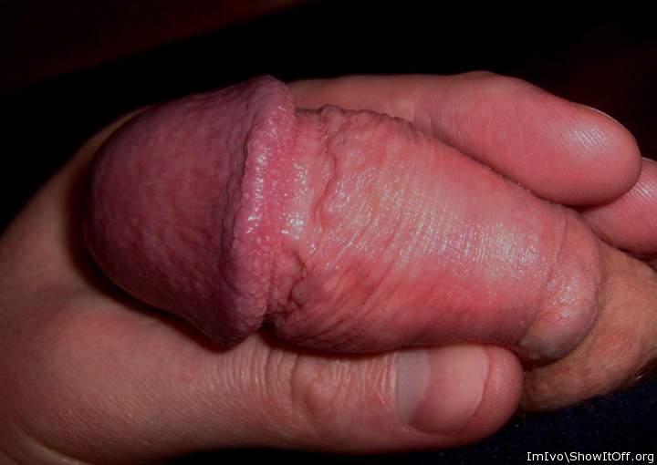 Flaccid penis with nude glans and retracted foreskin (extreme closeup)