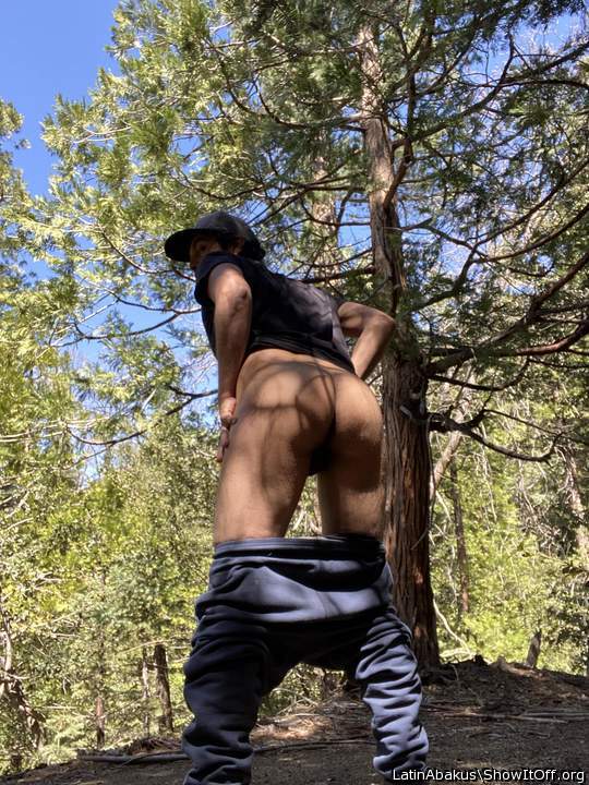 Looking for a hike partner. Do you know anybody?