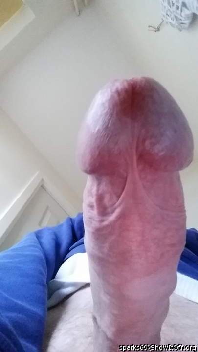 Lovely pov of your long cock 