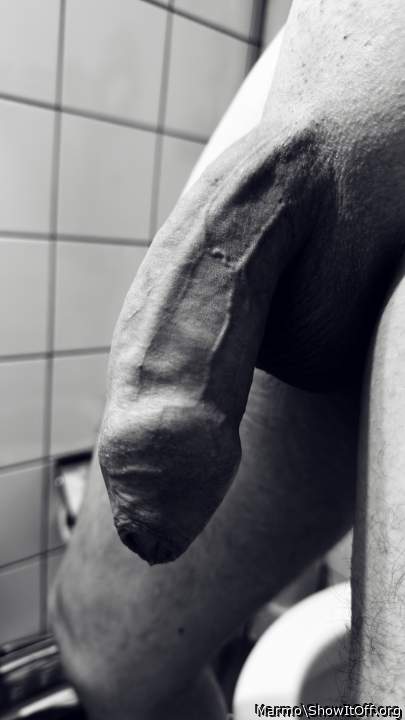 Superb veined smooth uncut cock  
