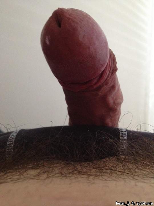 Photo of a pecker from peter_b