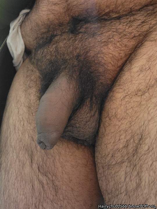 Adult image from Hairychub2566