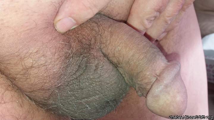 Photo of a dick from charlee