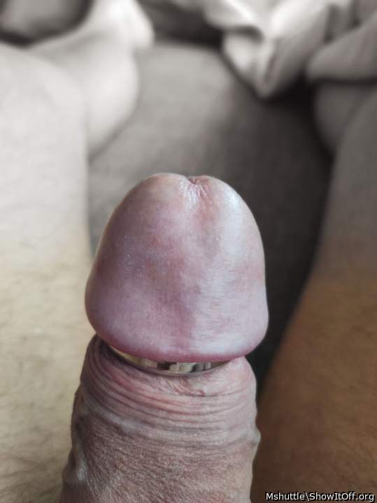 Nice cock head ring 