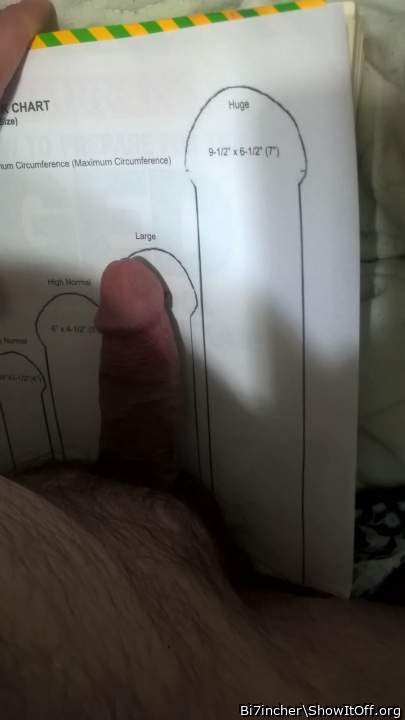 angle 3 of 4 of my cock filling in large size of cock size chart