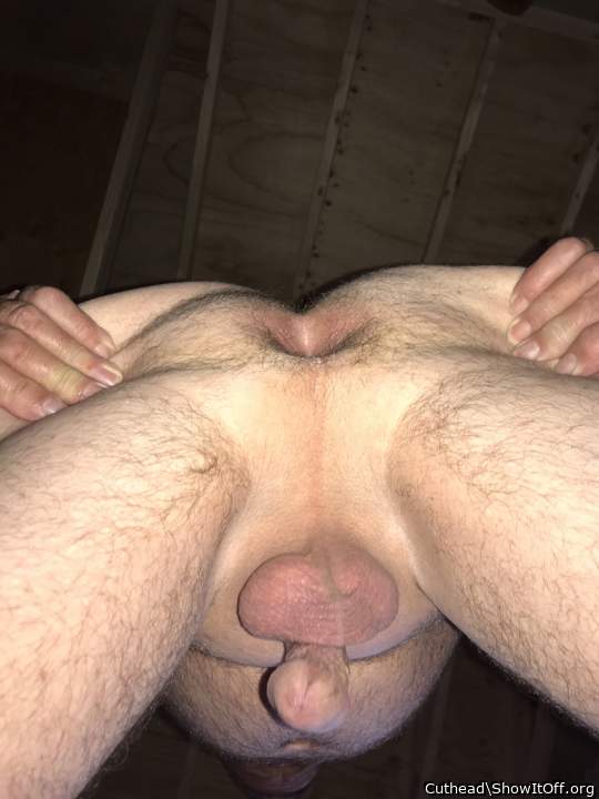 Hi, pig Ernie here, would love to get my tounge deep into yo