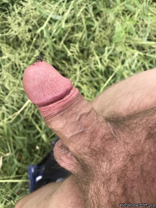 Hot getting your cock out in the open air   
