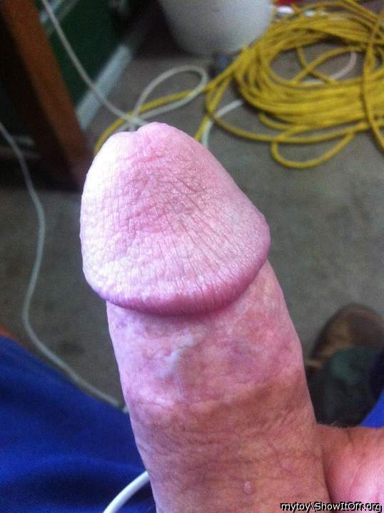 Photo of a meat stick from mytoy