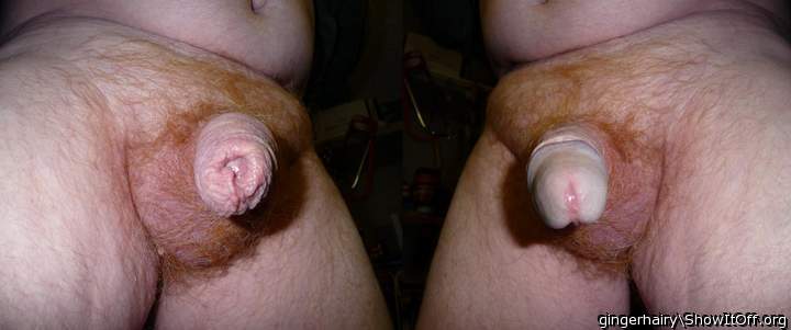 Photo of a dick from gingerhairy