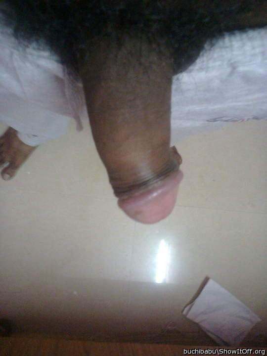 Photo of a middle leg from pavan