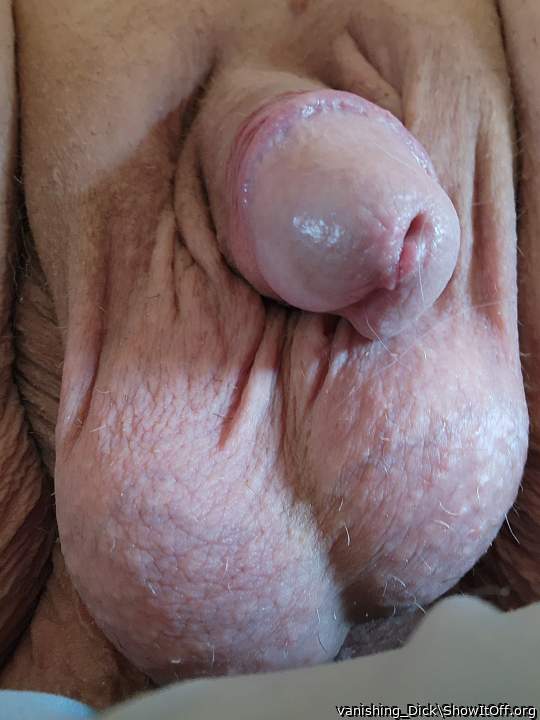 Photo of a cock from vanishing_Dick