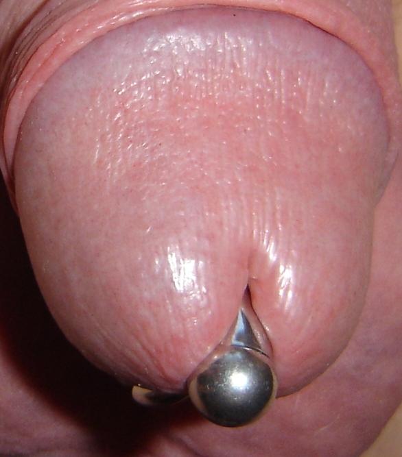 Glans penis with 8mm Princebell