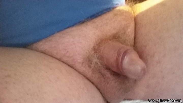 cum into my mouth !