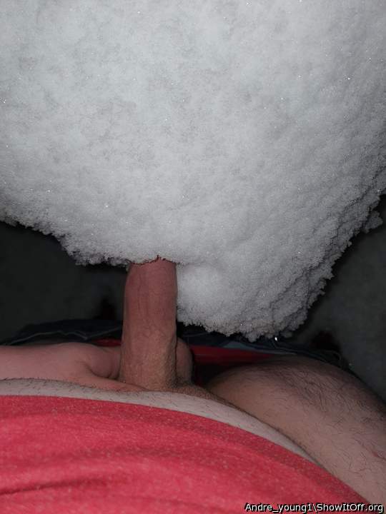 Cock in the snow