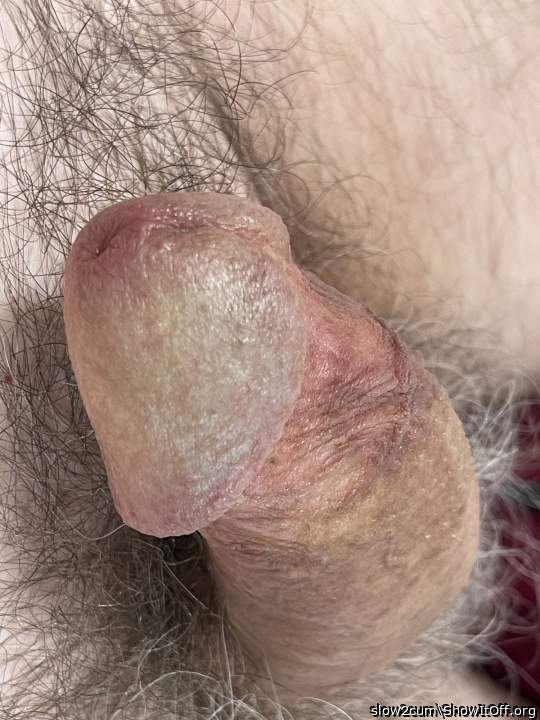Photo of a meat stick from slow2cum