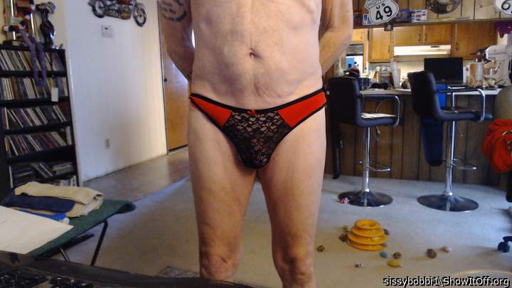 Photo of a weasel from sissybobbi1