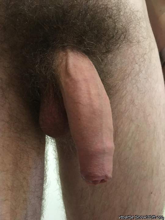 You have a timelessly classic looking cock and balls.

You