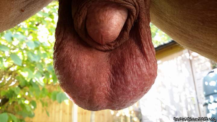 My saggy balls out in the garden