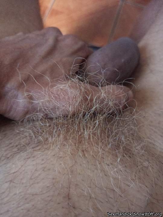 Photo of a boner from Sexmandick