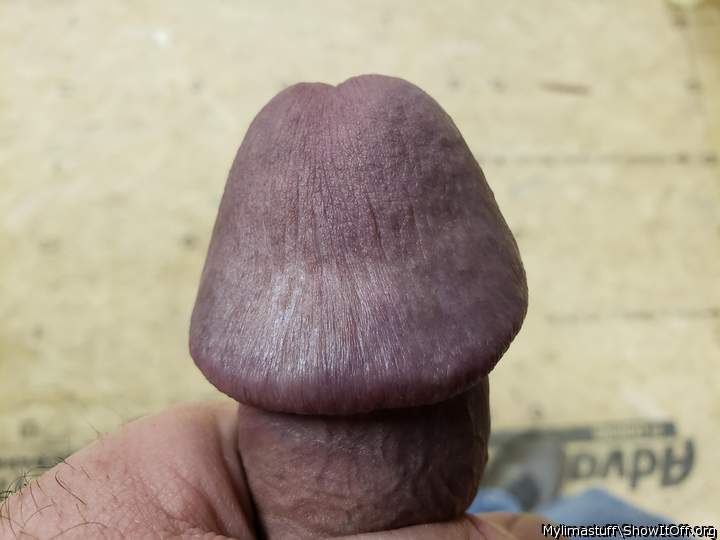 Awesome engorged knob, just marvellous to wrap the lips arou
