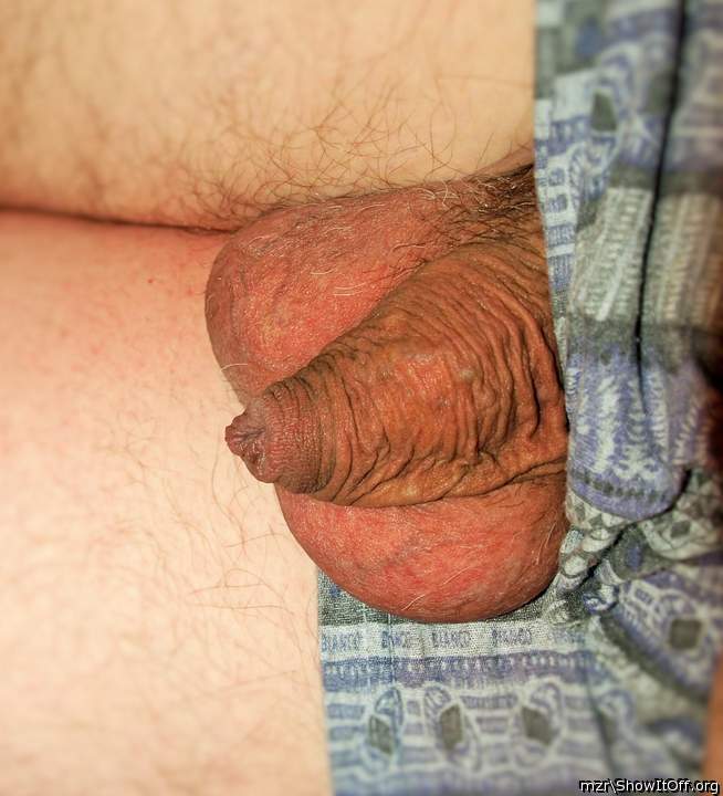 My soft non-circumcised dick