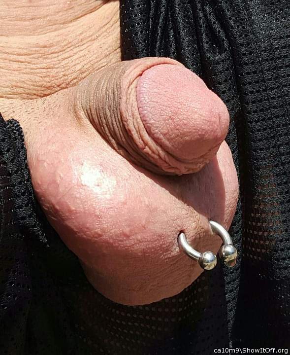 My small shriveled cock and balls showing off piercing