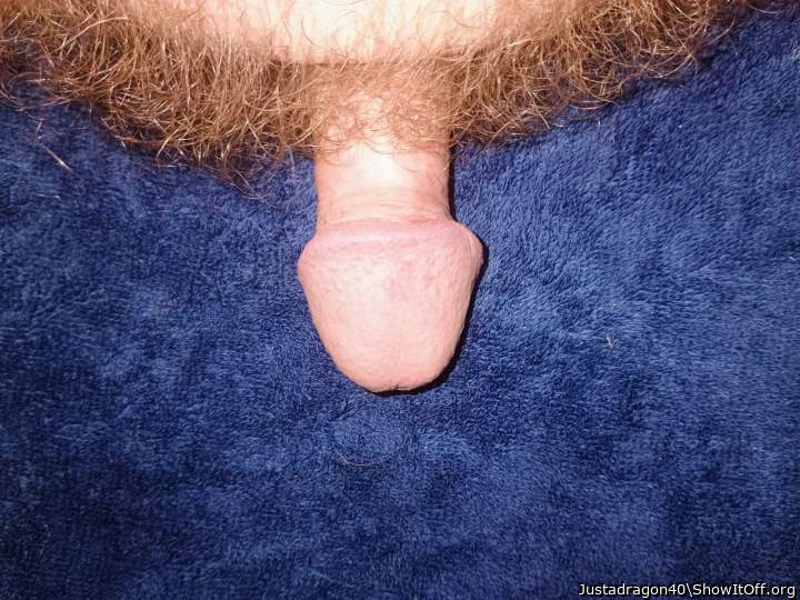 Adult image from Justadragon40