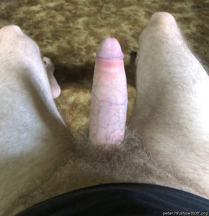 What a nice cock