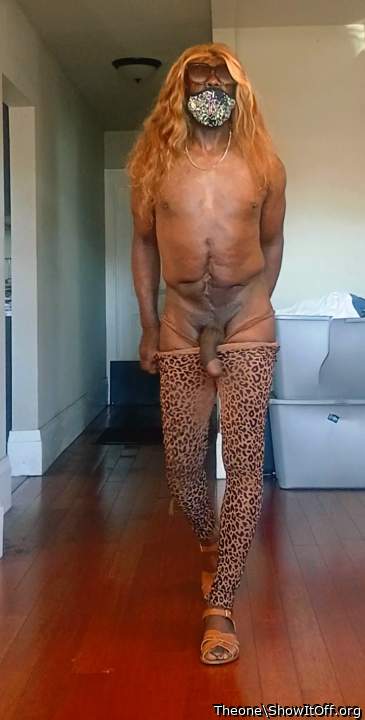 Big Dick CD Hershey will be Strolling thru Ur City Soon So Be Ready u Fag's