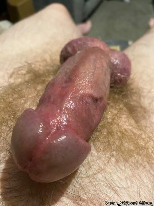 Adult image from Xavier_29