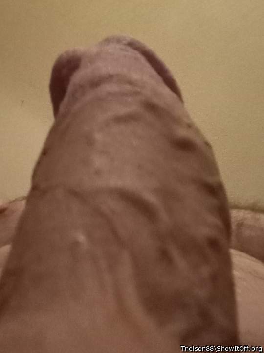 Photo of a penis from Tnelson88