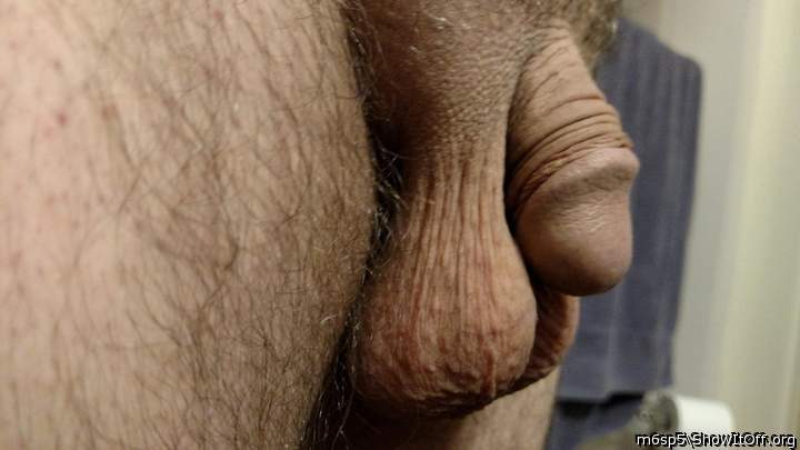 Fantastic peek at a scrotum and a wang!    