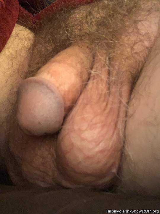 want to suck your cock