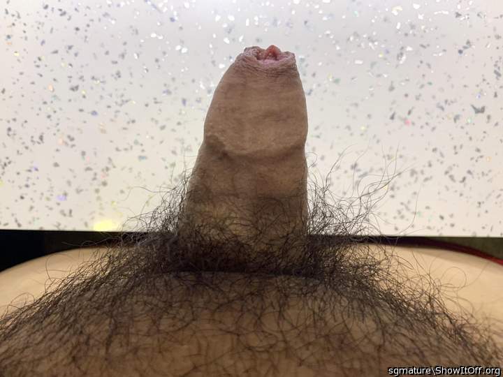 Photo of a cock from sgmature