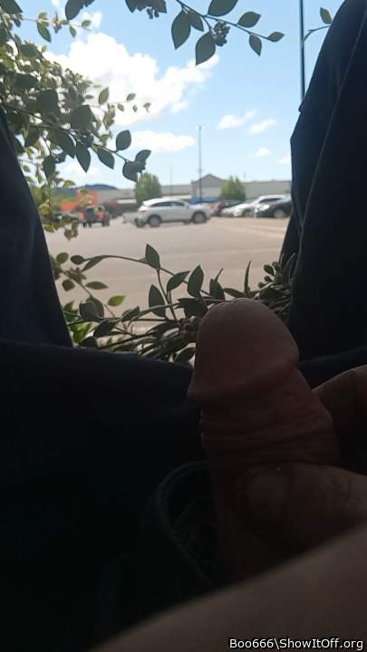 Adult image from Boo666