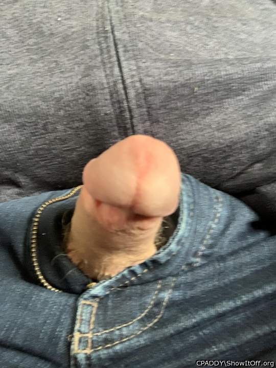 My circumcised Cock