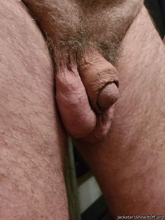 Adult image from jackstar