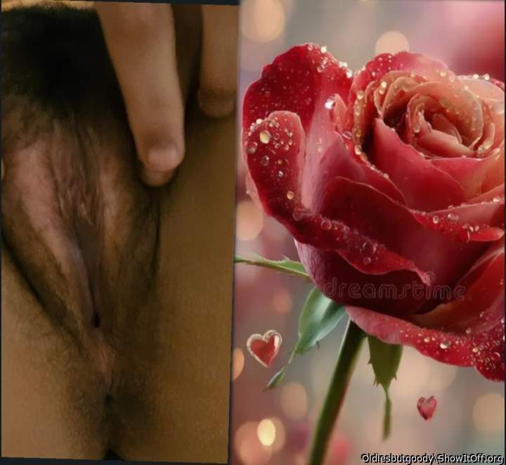 My  Cunt is  open like  a flower