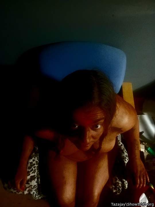 Adult image from Tazajay