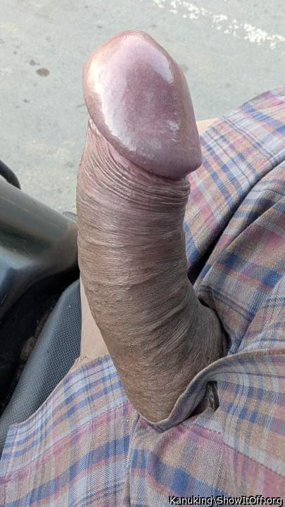 Beautiful erection!!!!  