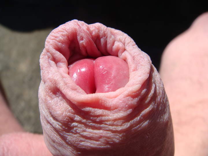 Photo of a penis from sivad666