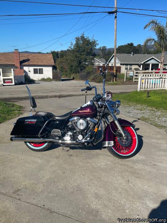 Adult image from Freckles