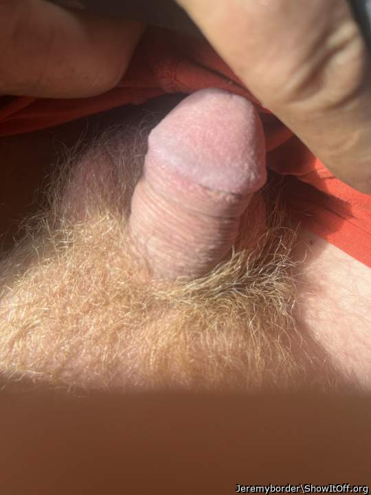 A fine looking soft cock